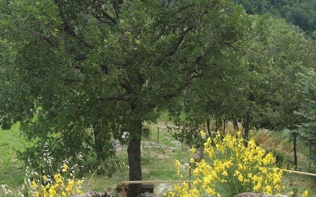 Agriturismo Il Boschetto