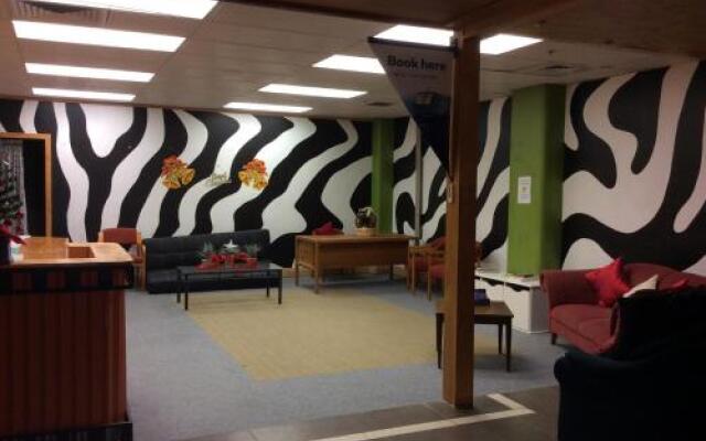 Wild Zebra Backpackers