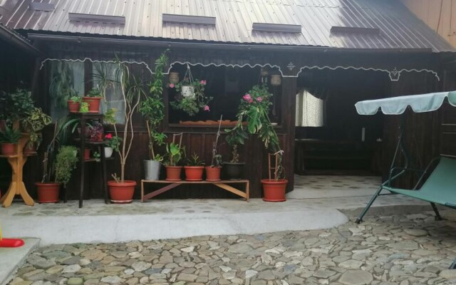 Agrouturistic House in Manastirea Humorului