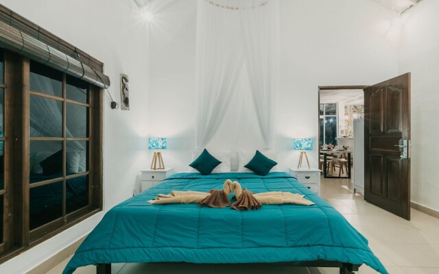 Villa Palm Tree