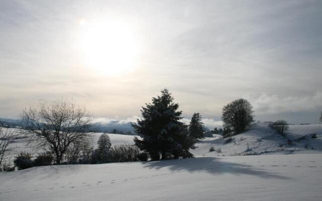 Au Coeur du Lapidaire