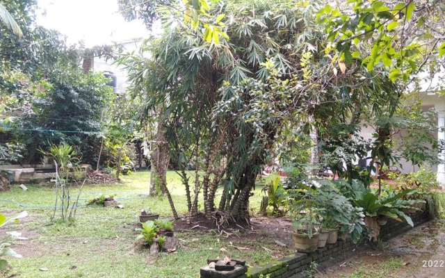 Dilupa Nature Resort