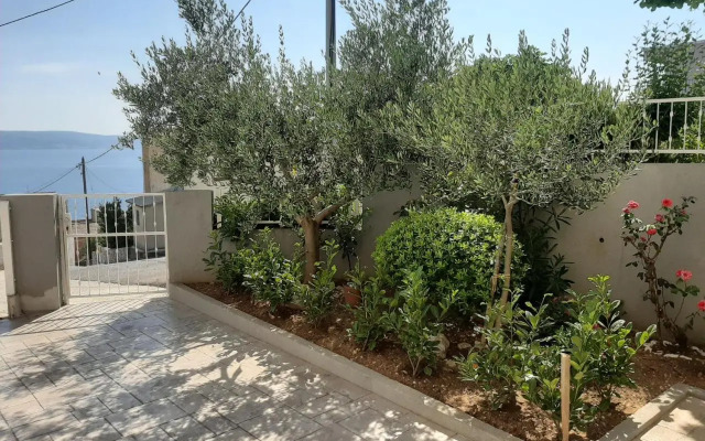 Apartment Ante