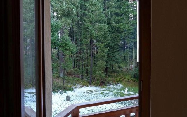 Studio Villa Park 207