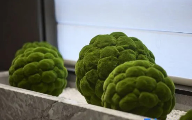 Starway Hotel (Xi'an Xishaomen Taoyuan South Road)