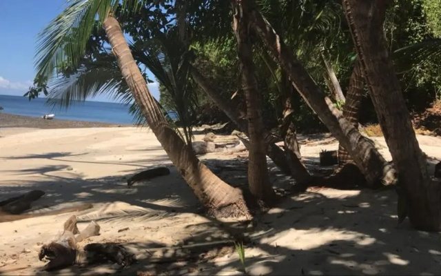 Iguana Beach Eco Resort