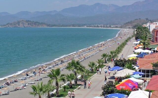 Stella Classic Apart