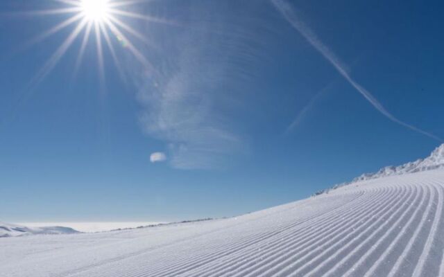 ATH Alpenpark Turrach,Zirbenwald II_13P