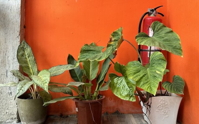 Rozay Travellers Inn