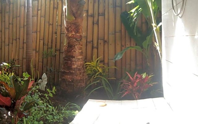 Jungle of peace