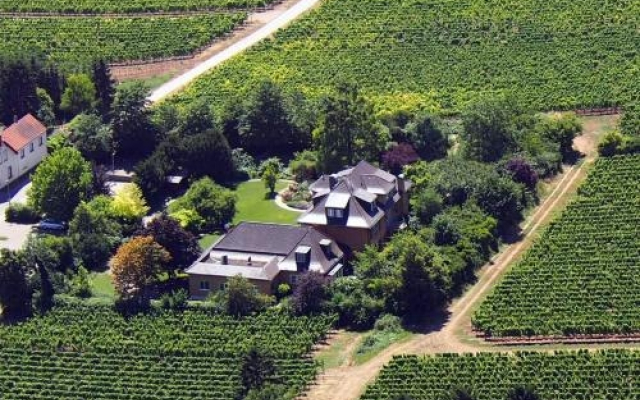 Hotel Villa Spiegelberg