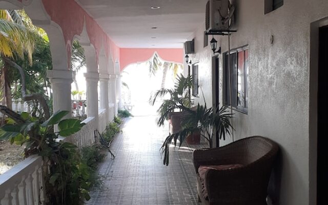 Flamingo Guest House Celestún
