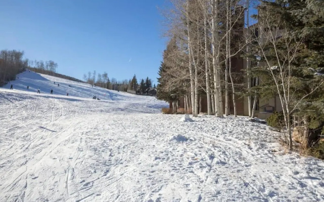 3 BR Penthouse w Hot-tub -mountain Views