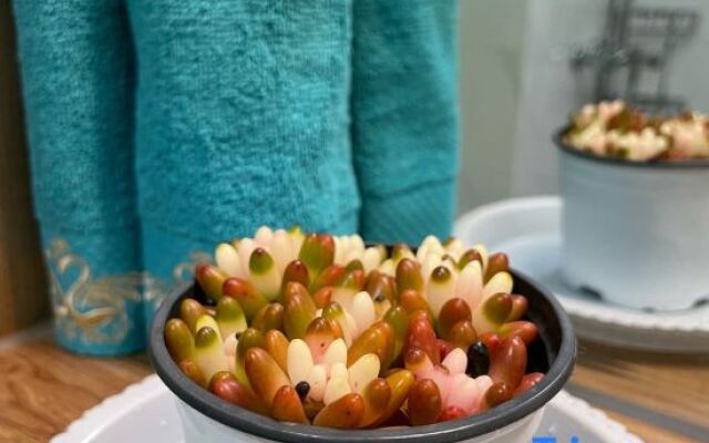 The yard under the mountain