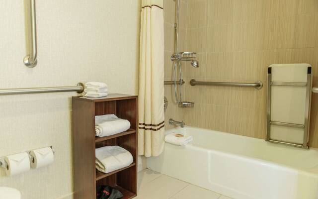 Hilton Houston Galleria Area