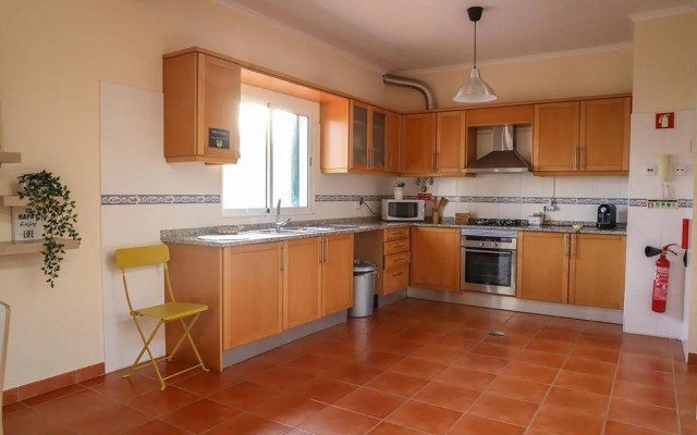 O DRAGOEIRO da Madalena!