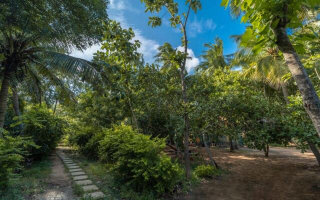 Aashikha Farm House