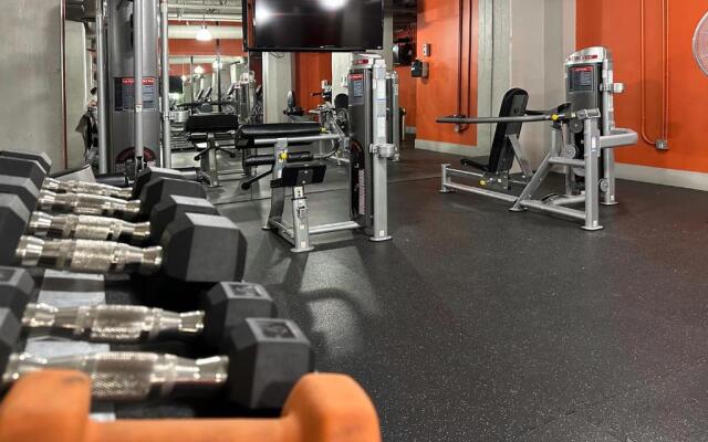 Fashion Loft 2 bedroom Downtown