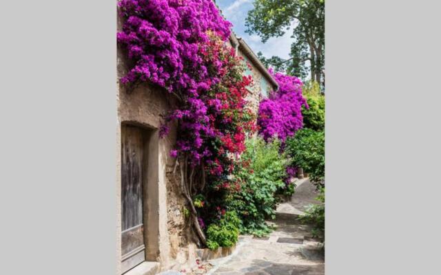 Coquet 2 pièces coeur Vieil Antibes