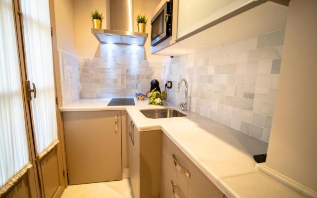 Casas de Sevilla - Apartamentos Vidrio 7