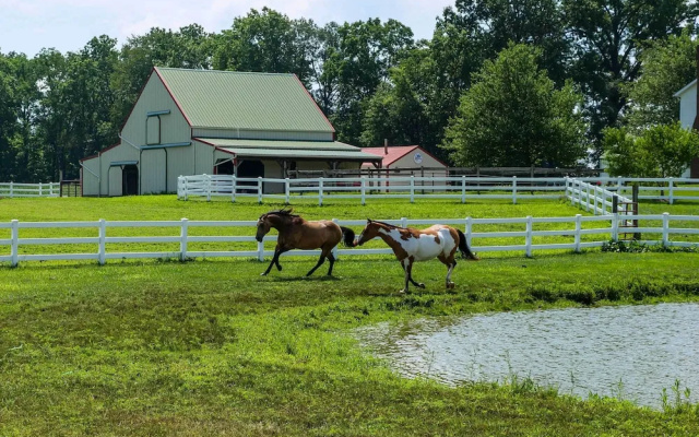 Renovated Bunkhouse on 12-acre Horse Farm!