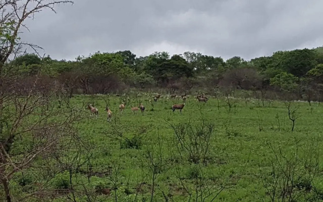 Camissa Tented Camp
