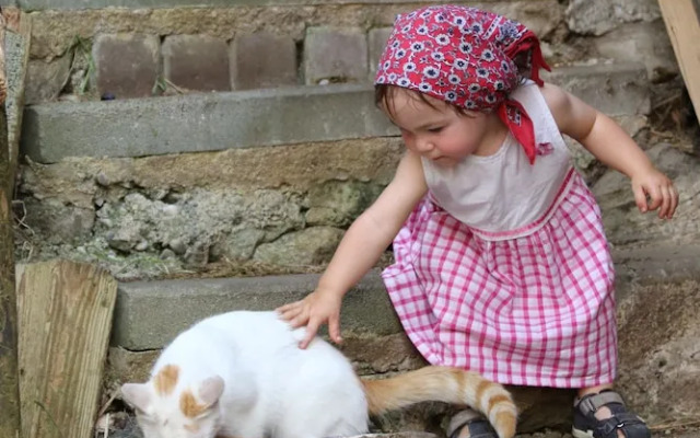 Cozy Apartment with Roof Terrace
