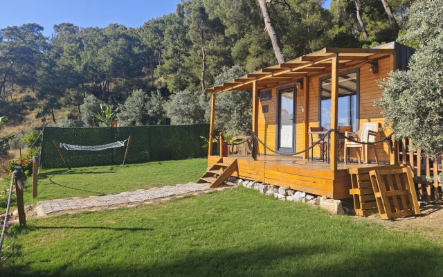 Ti̇ny Mi̇ni̇ House