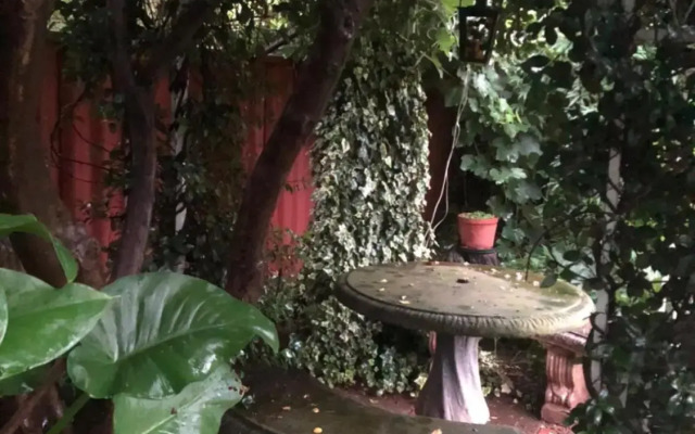 Sonhos , dreams Unit 2