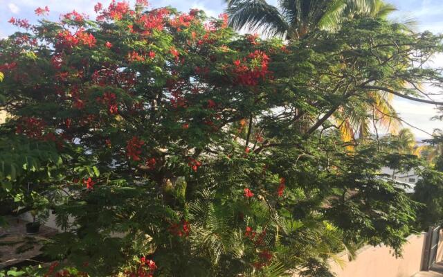 Villa Les Porcelaines