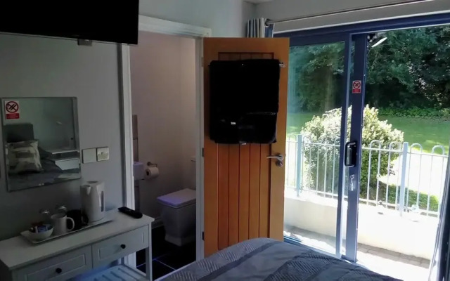 Blue Mackerel - Adults Only