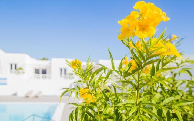 Flower Beach Suite 6