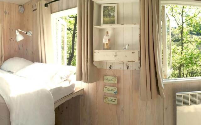 Wild Boar Mountain - France