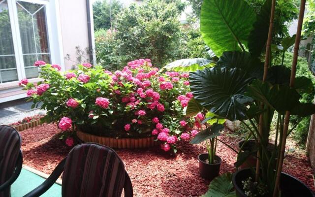 Bed & Breakfast Zeleni Kakadu