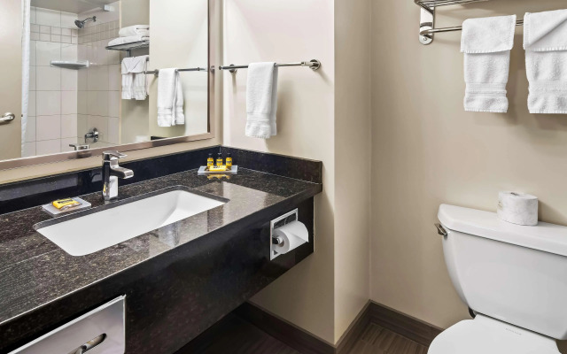 Best Western Plus Pitt Meadows Inn & Suites