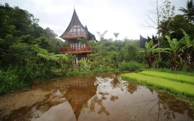 Padi Ecolodge