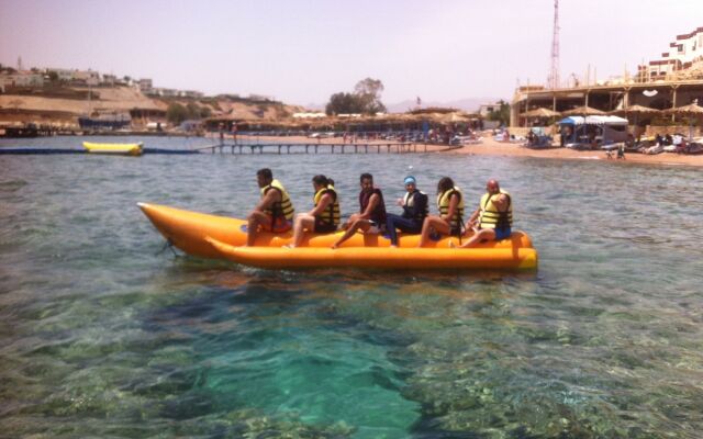 Shark Bay Oasis