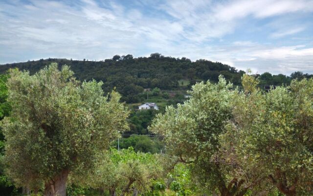 B&B Finestra sul Golfo