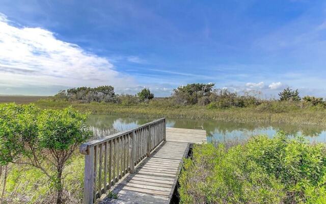 Salt Marsh