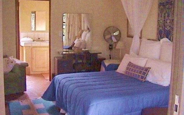 Ambience Inn