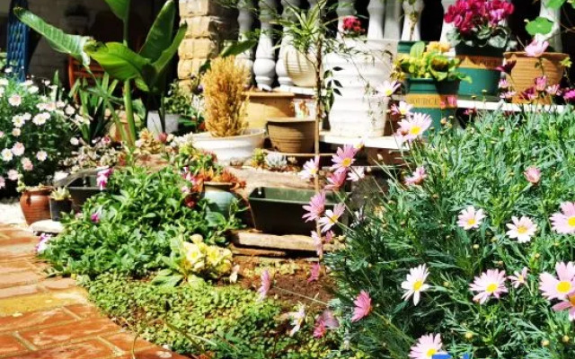 Wuchuan Dongshan Private Language Homestay
