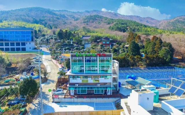 Morning in the Woods