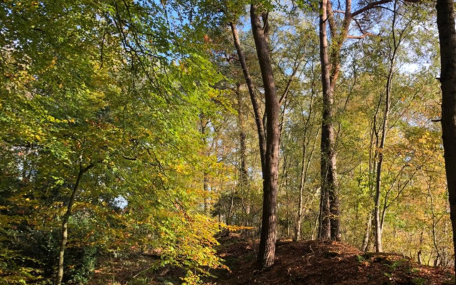 Vakantiewoning 'Eysinga State'