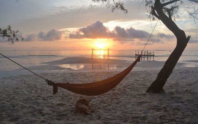 Driftwood Hostel and Bungalows