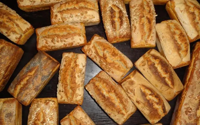 Dom gościnny Ptaszarnia