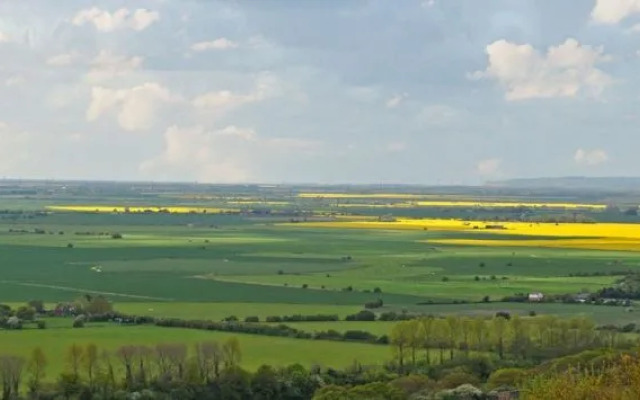 Bear Lodge - Glamping