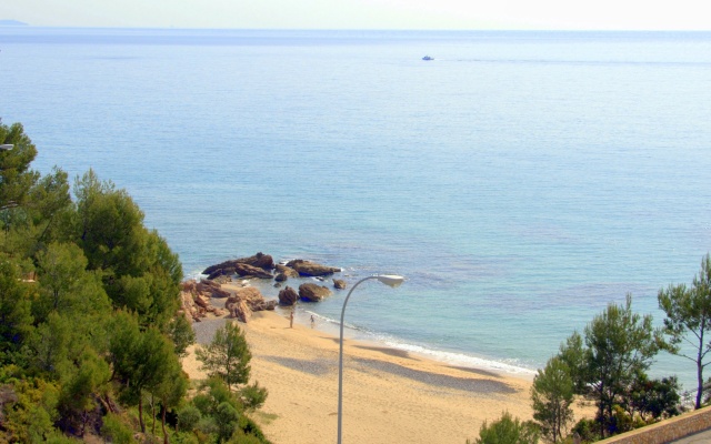 Gavina D'or | Rentalmar