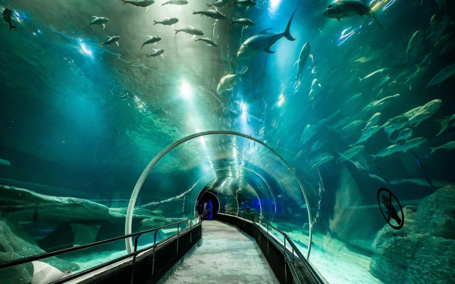 Copacabana Vip - Charme, Praia e Exclusividade