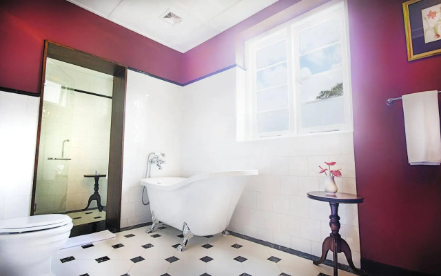 Dickoya by Zinc Journeys