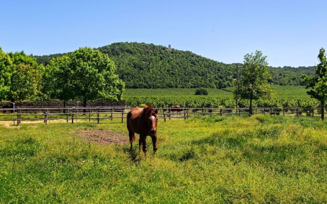 Scenic Apartment in Rome near Lago di Martignano